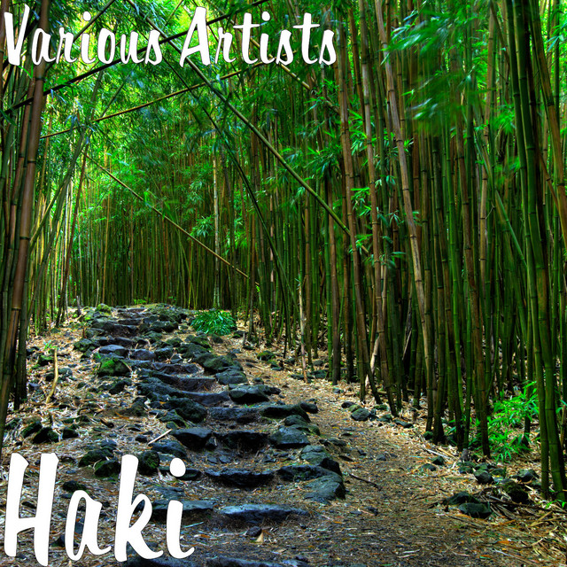 Haki cover art