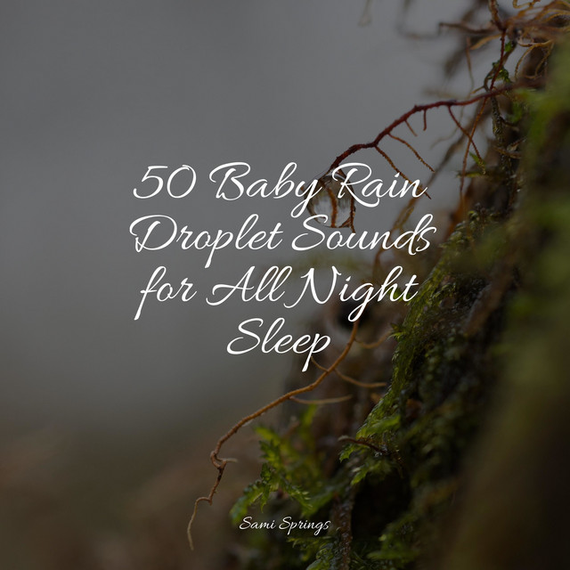 50 Baby Rain Droplet Sounds for All Night Sleep - Album by Sleep Waves ...