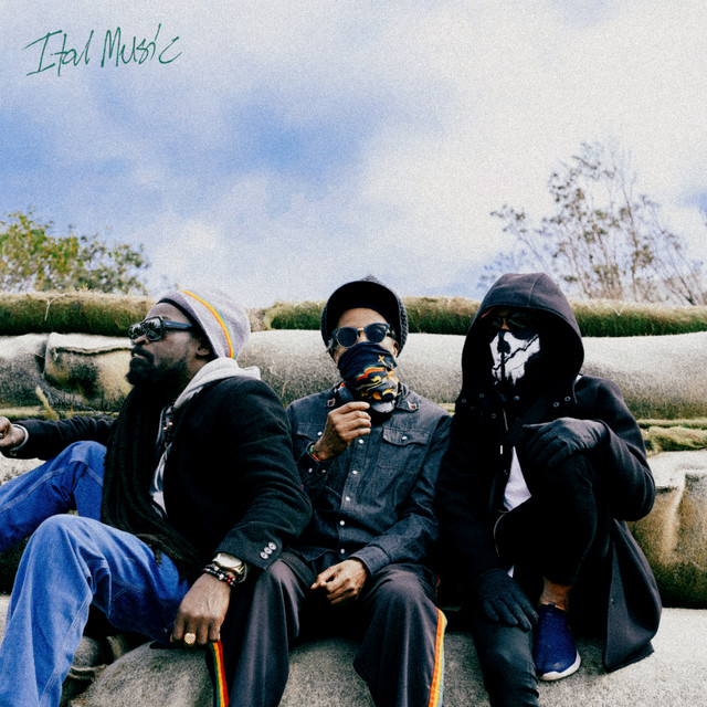 Ital Music album image