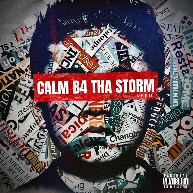 Calm B4 Tha Storm cover art