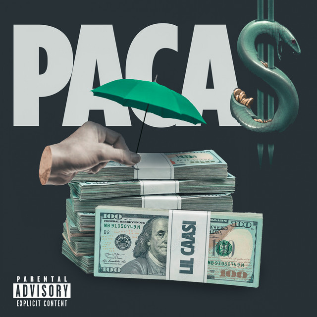 Pacas
