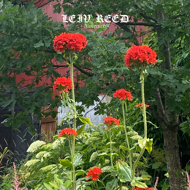 Nonesuch cover art