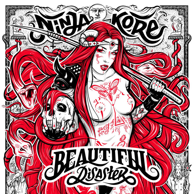 Beautiful Disaster cover art