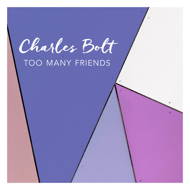Too Many Friends cover