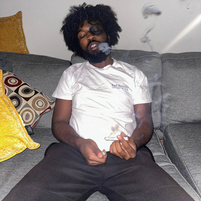 Doing Fine cover art