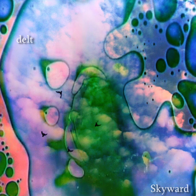 Skyward cover art