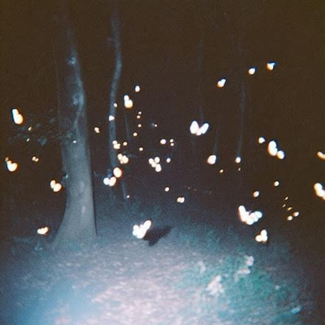 soon cover art
