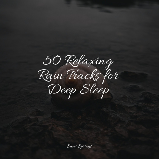 50 Relaxing Rain Tracks for Deep Sleep - Album by Exam Study Classical ...
