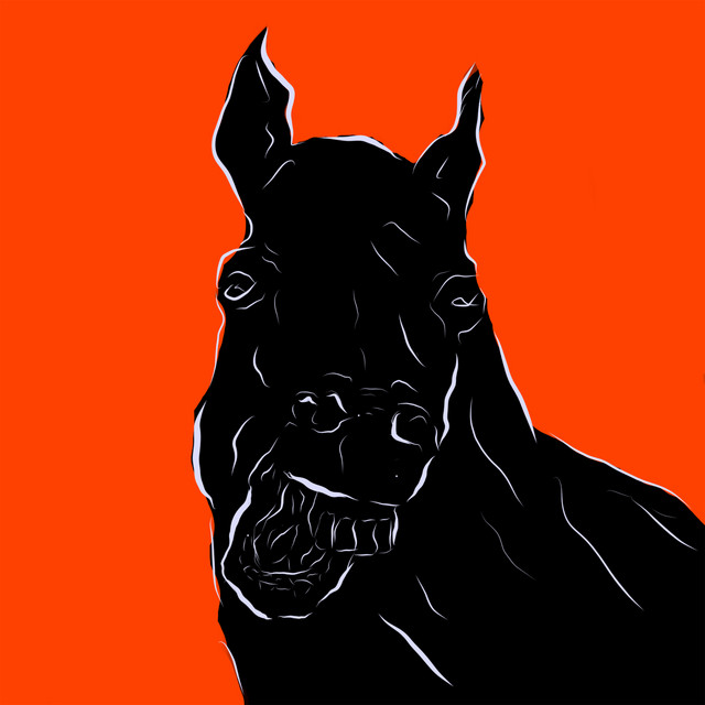 Rodeo cover art