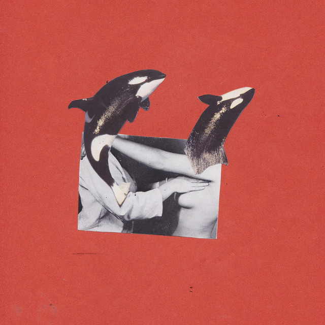 Обкладинка: Nothing — Regina Collage