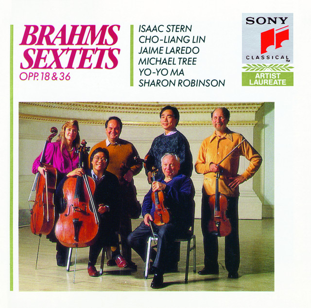 Sextet in B-Flat Major for 2 Violins, 2 Violas & 2 Cellos, Op. 18: I. Allegro ma non troppo