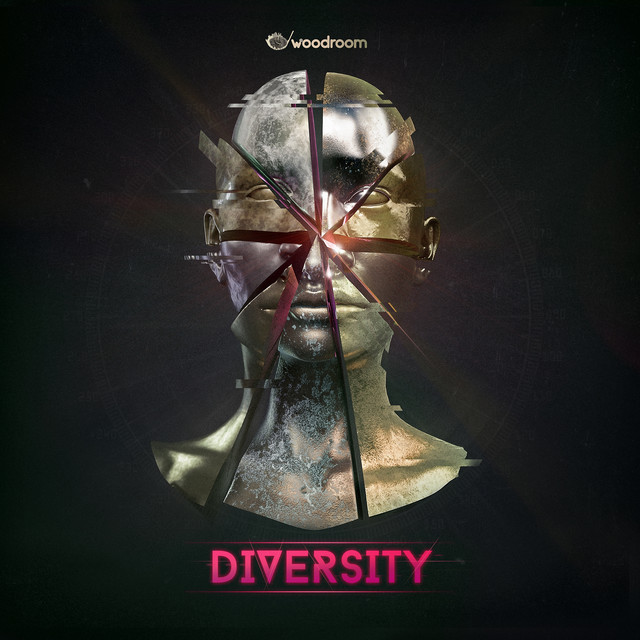 Woodroom Diversity cover