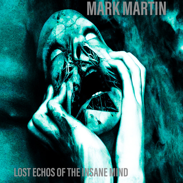 LOST ECHOS OF THE INSANE MIND cover art
