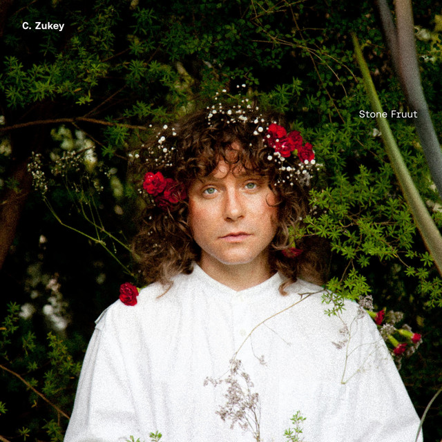 Stone Fruut cover art