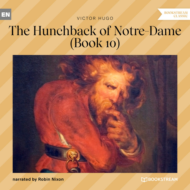 The Hunchback of Notre-Dame, Book 10 cover art