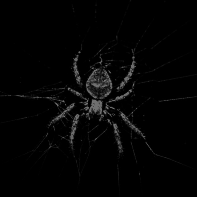 Web cover art