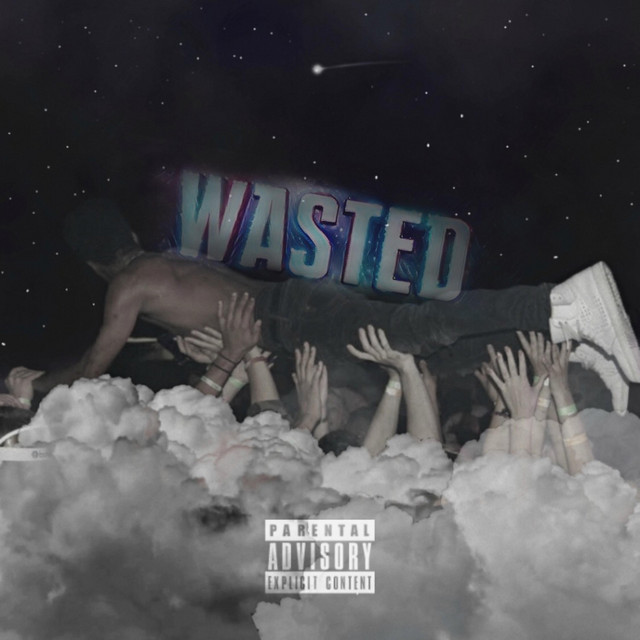 Wasted cover art