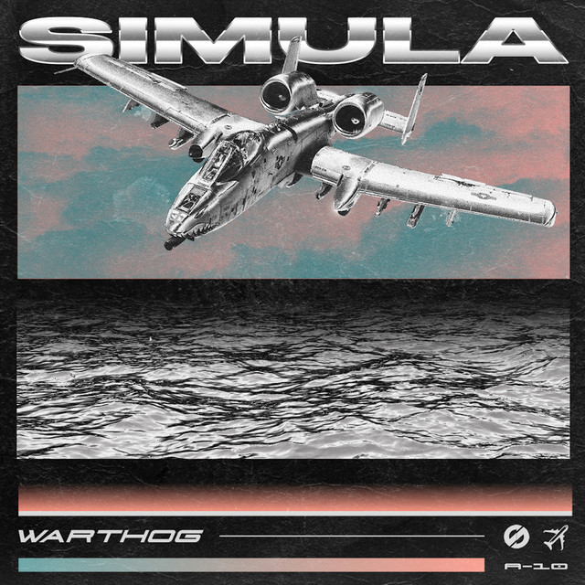 Warthog cover art