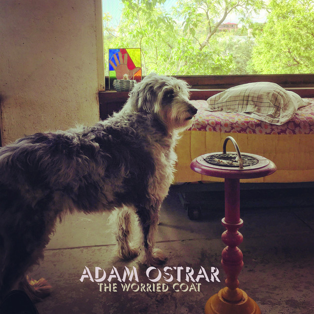 The Worried Coat cover art