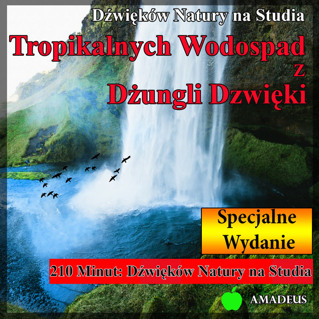Dźwięków Natury na Studia: Tropikalnych Wodospad z Dżungli Dzwięki: Specjalne Wydanie cover art
