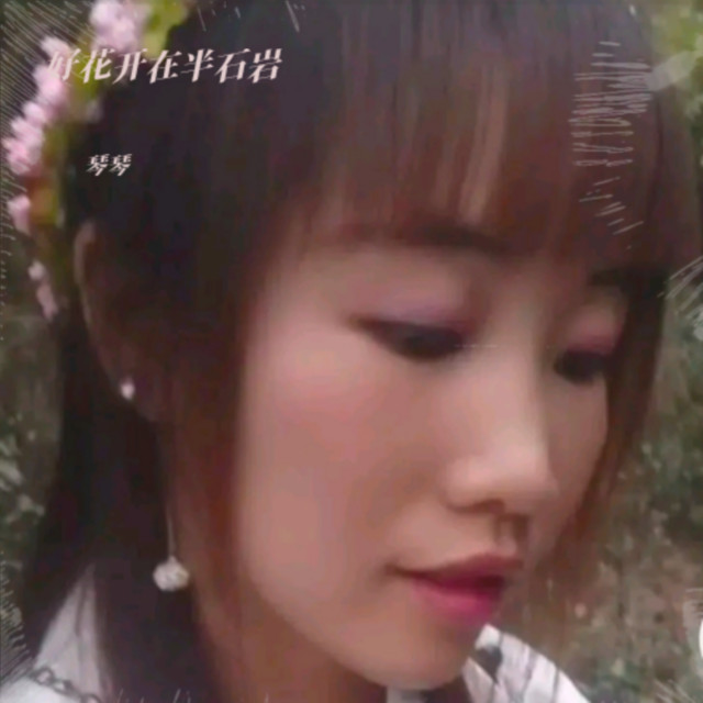 琴琴