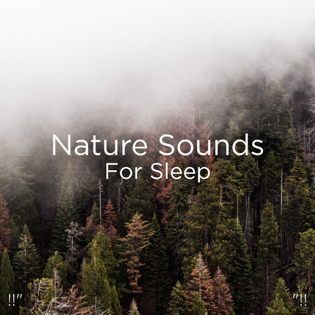 Nature Sounds For Sleep "!! - Album by Nature Sounds Nature Music | Spotify