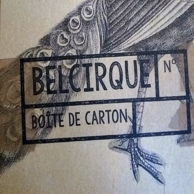 Boîte de carton cover art
