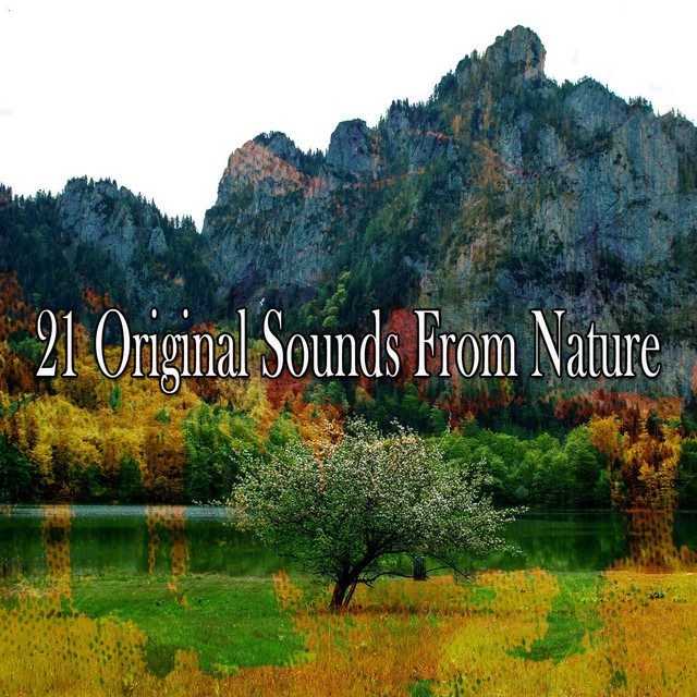 21 Original Sounds From Nature - Album by Sleep Sounds of Nature | Spotify