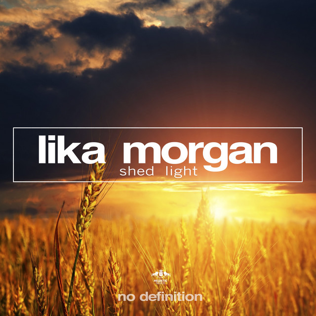 Shed Light - Fort Arkansas Radio Mix