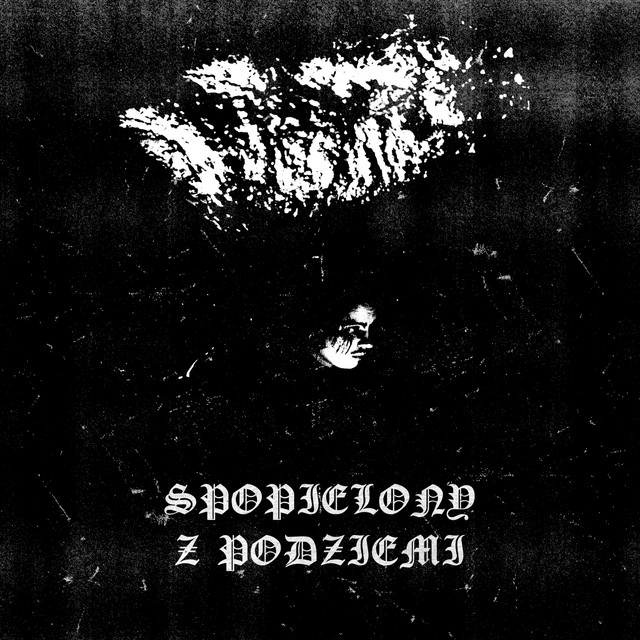 Z Podziemi album image