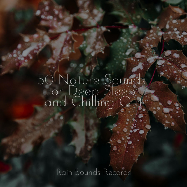 50 Nature Sounds for Deep Sleep and Chilling Out cover art