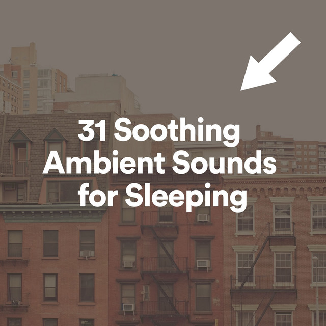 31 Soothing Ambient Sounds for Sleeping - Album by Calm Music | Spotify