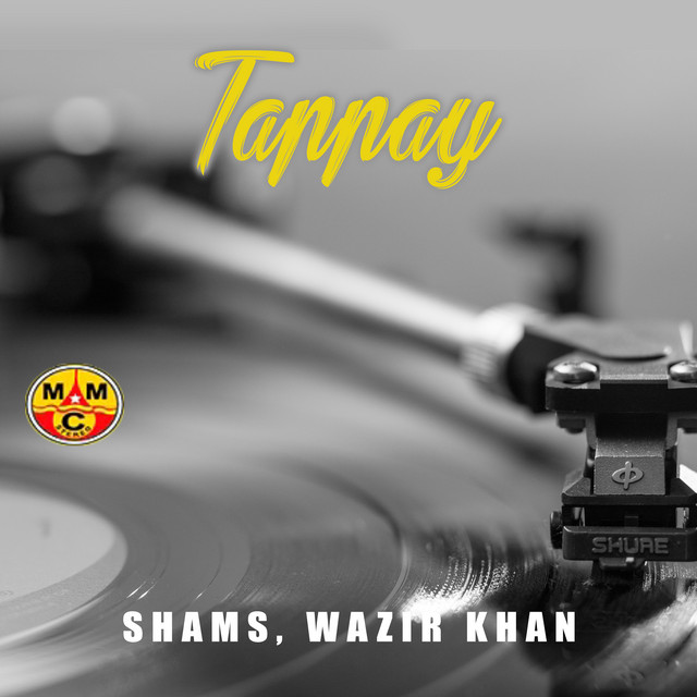 Tappay cover