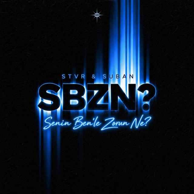 Senin Ben'le Zorun Ne? cover art