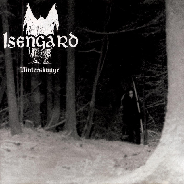 Vinterskugge cover art