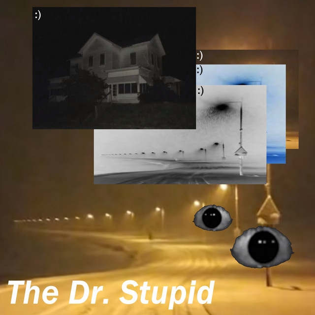 The Dr. Stupid cover art