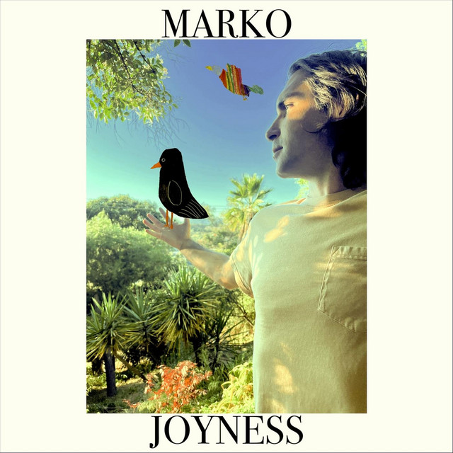 JOYNESS cover art