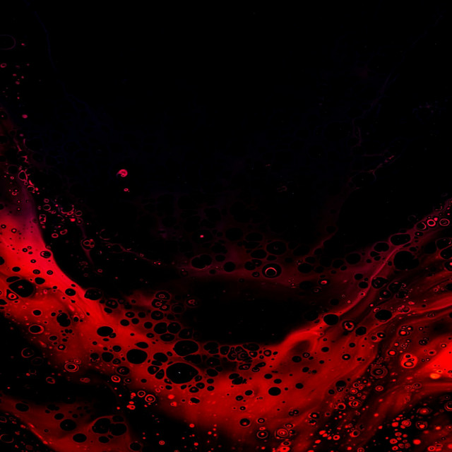 Orbital Experience Photo