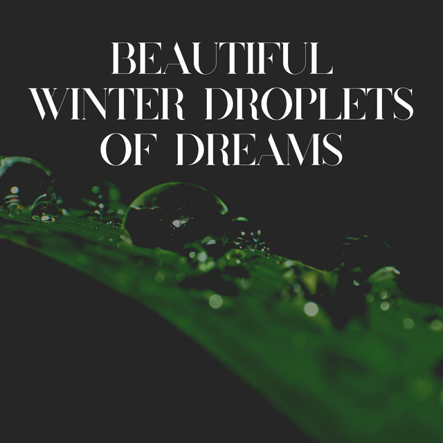 Beautiful Winter Droplets of Dreams cover art