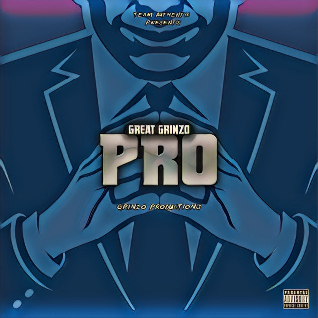 Pro - Single by Grinzo | Spotify