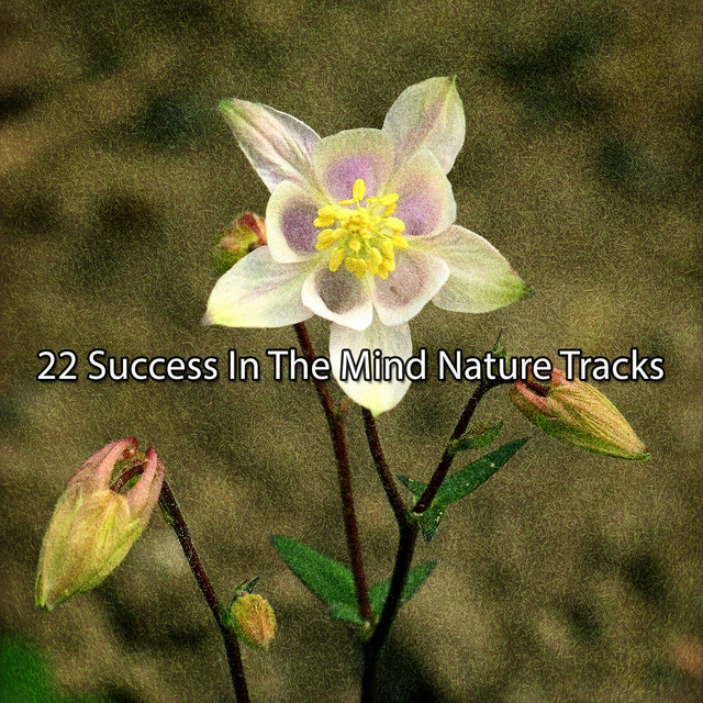 22 Success In The Mind Nature Tracks - Album by Sounds of Nature ...