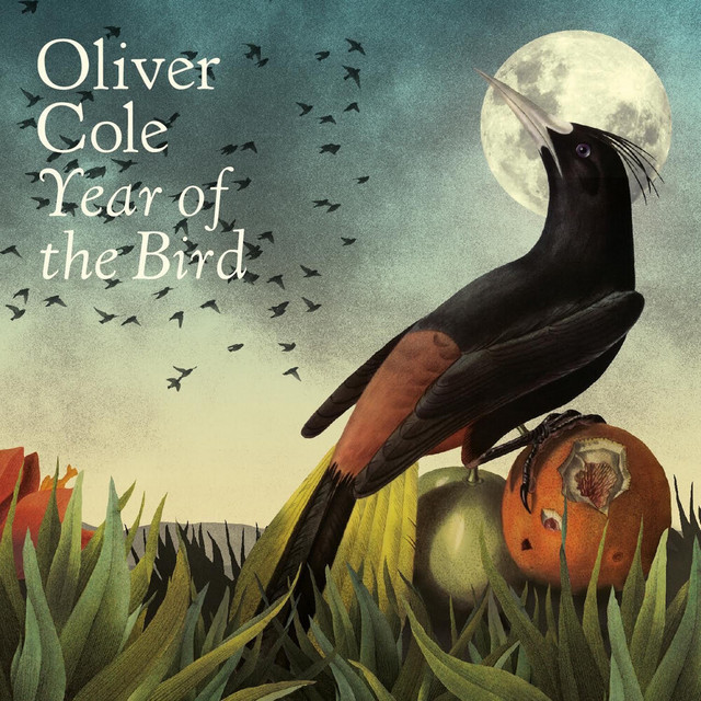Year of the Bird cover art