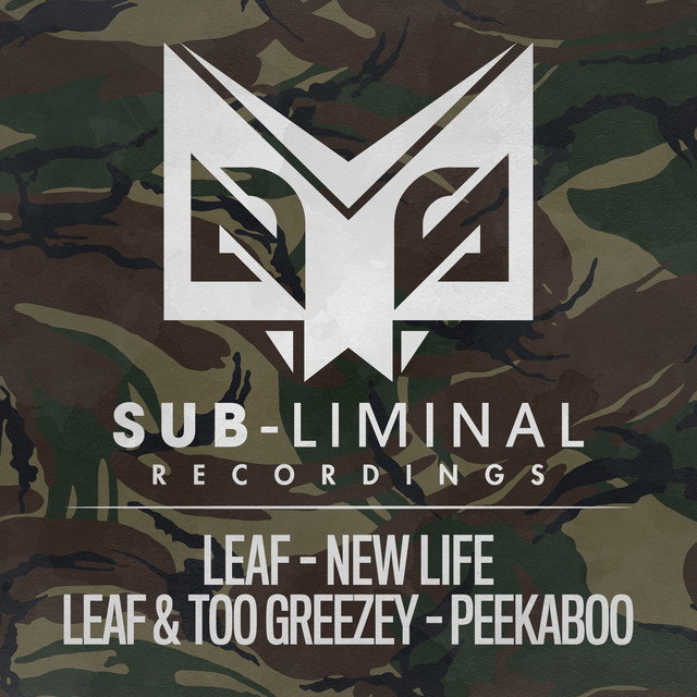 Peekaboo artwork