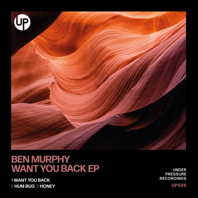 Want You Back album art