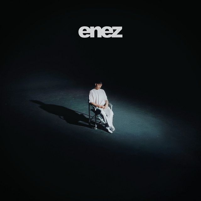 Se que no es normal cover art