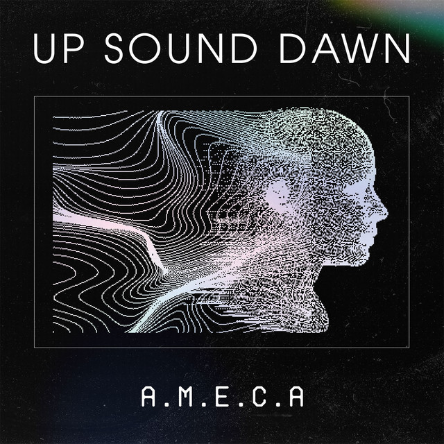 A.M.E.C.A cover art