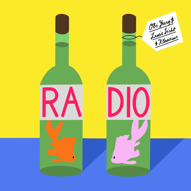 Radio cover
