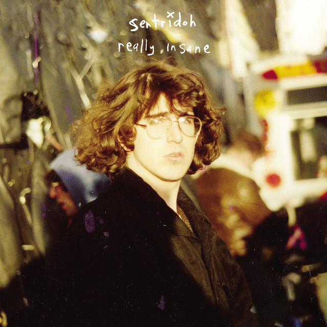 Really Insane - A Lou Barlow Compendium cover