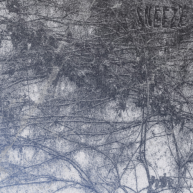 Rot cover