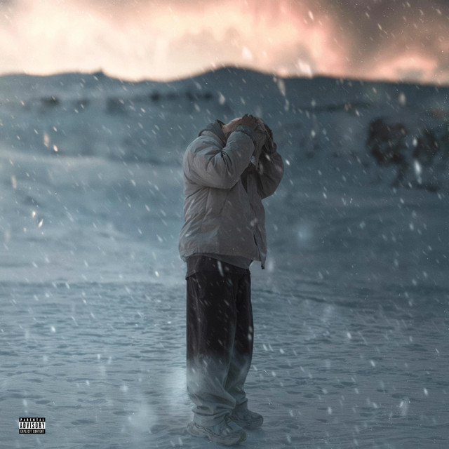 Cover of Snowfall